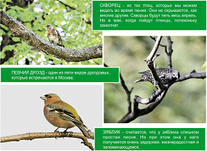 visna_prishla.png visna_prishla.png