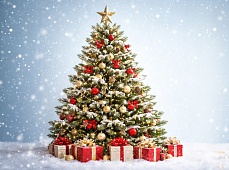 Поздравляем с Новым годом и Рождеством!